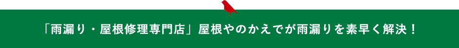 「雨漏り・屋根修理専門店」屋根やのかえでが雨漏りを素早く解決！